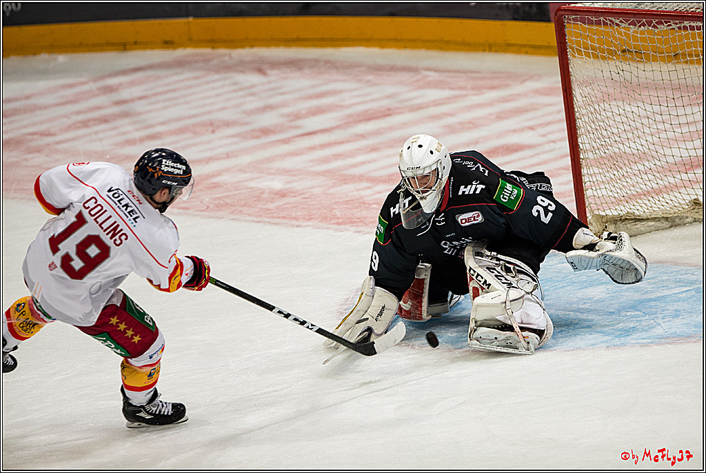 Koelner Haie - Duesseldorfer EG, 18.12.2016